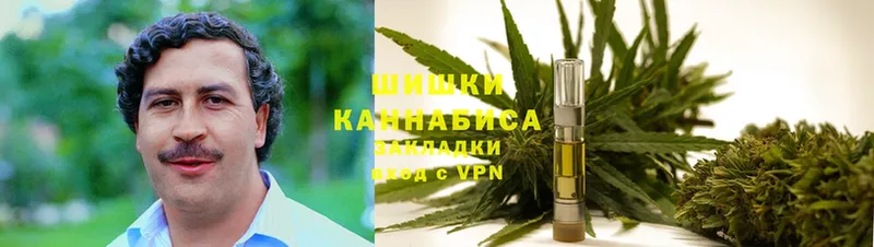 Канабис OG Kush  Кудымкар 